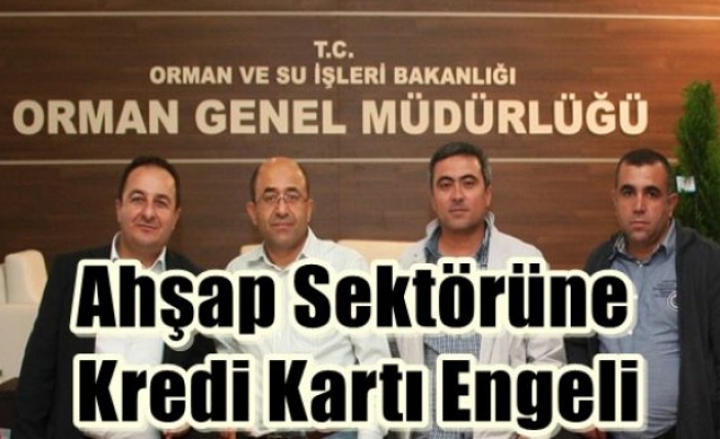 Ahşap Sektörüne Kredi Kartı Engeli