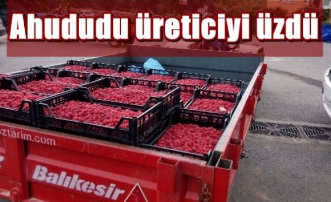 Ahududu üreticiyi üzdü