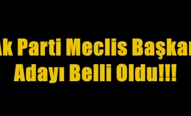 Ak Parti Meclis Adayı Belli Oldu!