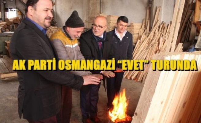 Ak Parti Osmangazi 