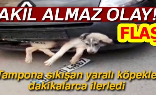 AKIL ALMAZ OLAY!