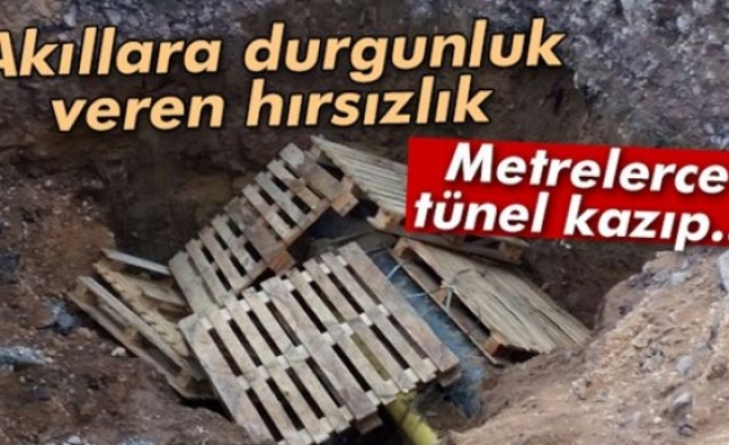 Akıllara durgunluk veren hırsızlık