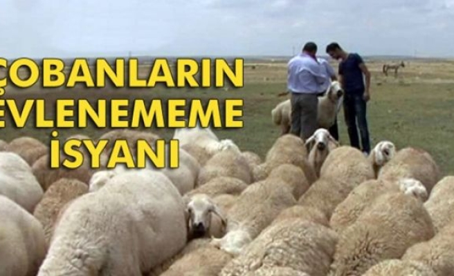 Aksaraylı çobanların evlenememe isyanı