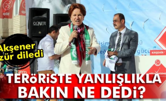 Akşener, teröriste yanlışlıkla 'militan' deyince...