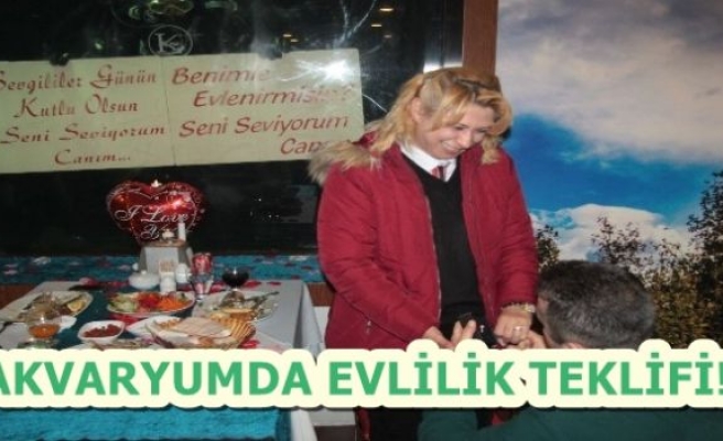 Akvaryumda Evlilik Teklifi Yaptı!