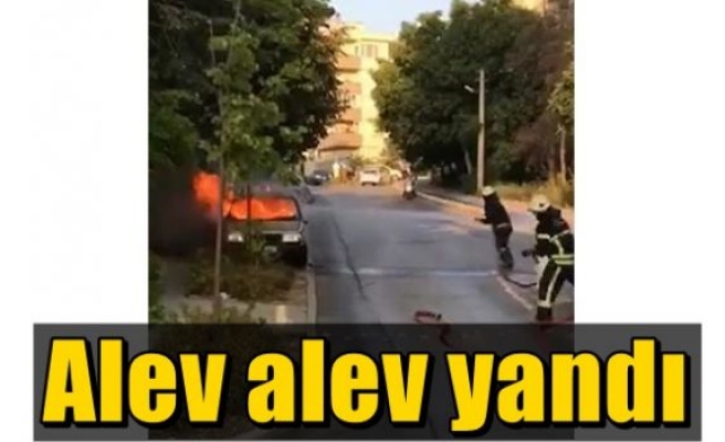 Alev alev yandı