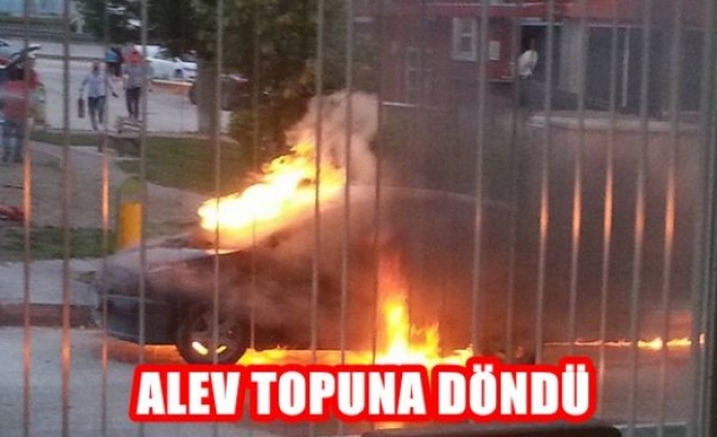 Alev Topuna Döndü