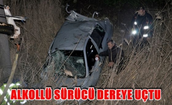 Alkollü sürücü dereceye uçtu