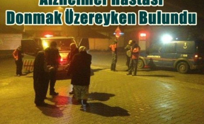 Alzheimer Hastası Donmak Üzereyken Bulundu