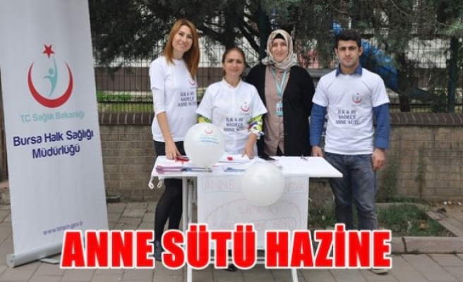 Anne sütü hazine