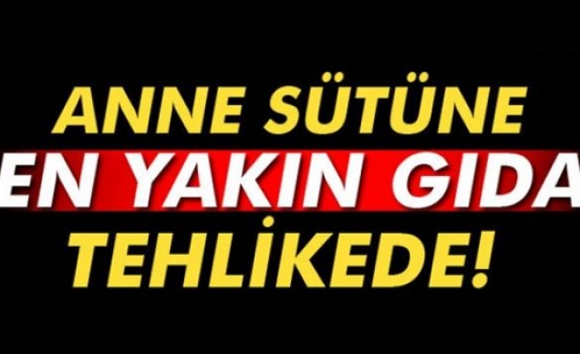 Anne sütüne en yakın gıda tehlikede