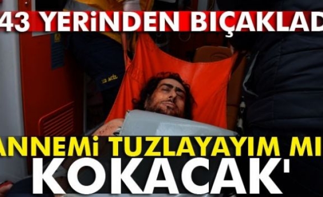 'Annemi tuzlayayım mı? Kokacak'