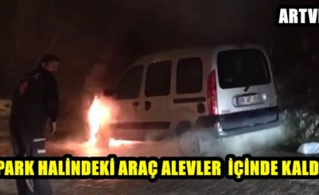 ARAÇ ALEV ALEV YANDI