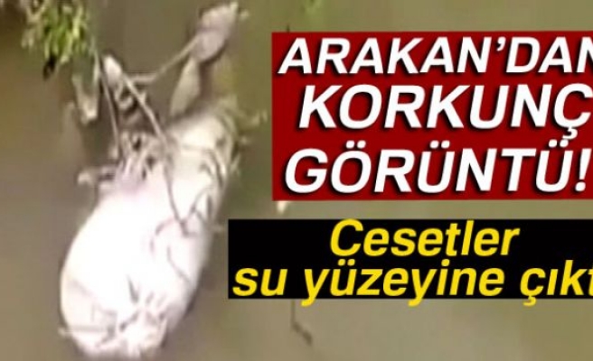 ARAKAN'DAN KORKUNÇ GÖRÜNTÜLER!