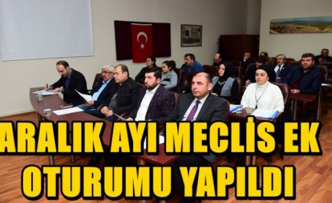 ARALIK AYI MECLİS EK OTURUMU YAPILDI