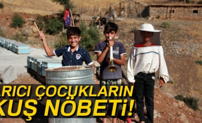 Arıcı çocuklar kuş nöbetinde!