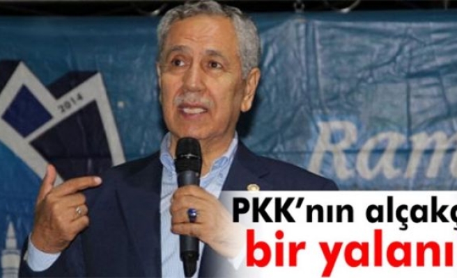 Arınç:'PKK'nın alçakça bir yalanı'