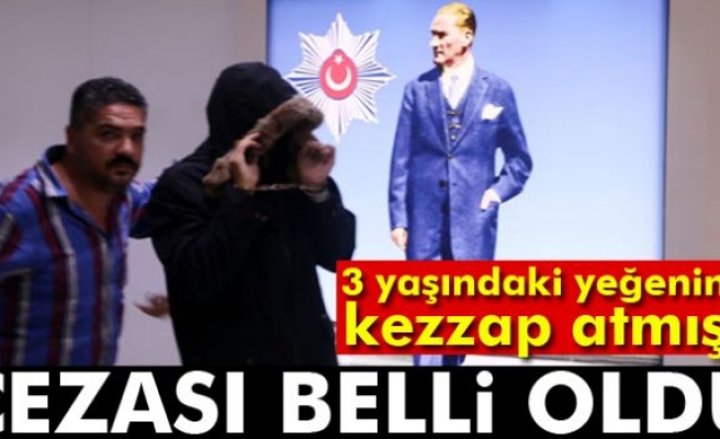 Asitçi eniştenin cezası belli oldu