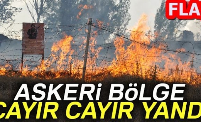 ASKERİ BÖLGE CAYIR CAYIR YANDI!