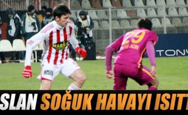 Aslan soğuk havayı ısıttı