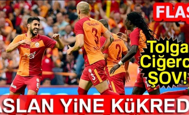 ASLAN YİNE KÜKREDİ!