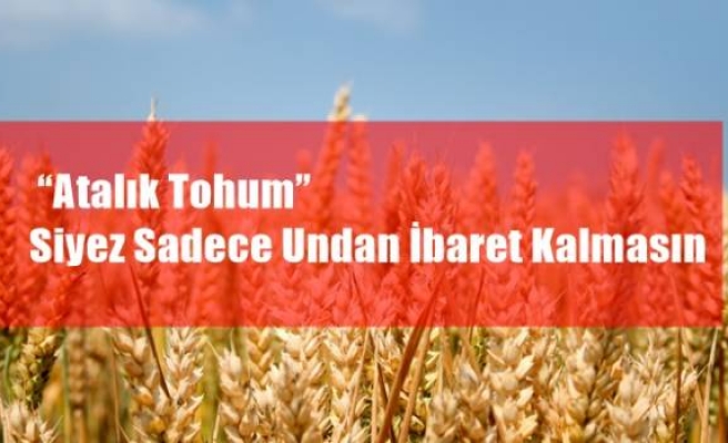  ​“Atalık Tohum” Siyez Sadece Undan İbaret Kalmasın 