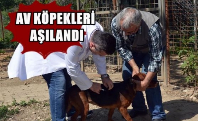 Av Köpekleri Aşılandı