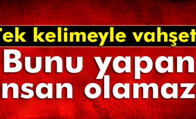 Ayakları bağlı köpek ölüsü bulundu