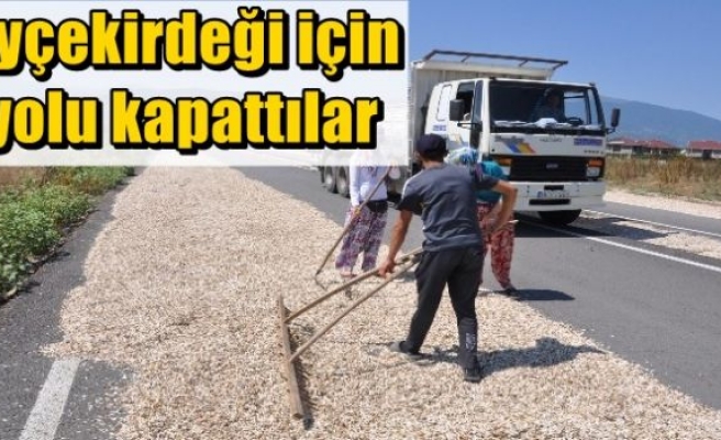 Ayçekirdeği için yolu kapattılar