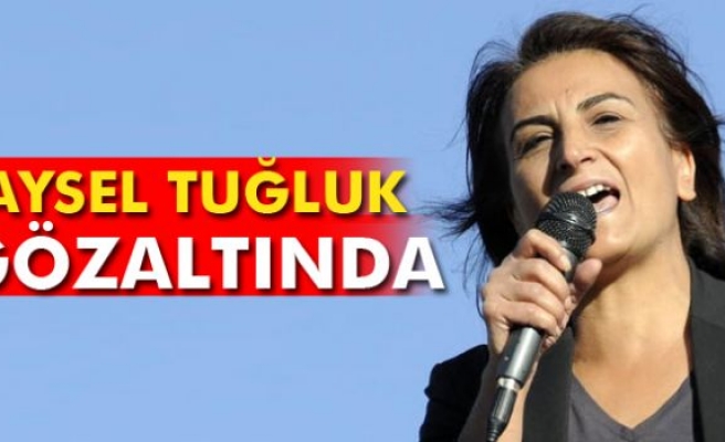 Aysel Tuğluk gözaltına alındı