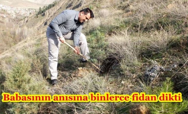 Babasının anısına binlerce fidan dikti