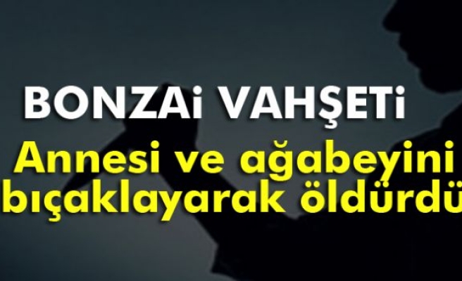 Bağcılar'da bonzai vahşeti