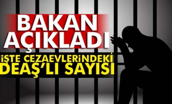 Bakan Bozdağ cezaevlerindeki DEAŞ’lı sayısını açıkladı