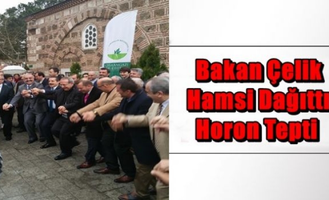 Bakan Çelik Hamsi Dağıttı,Horon Tepti