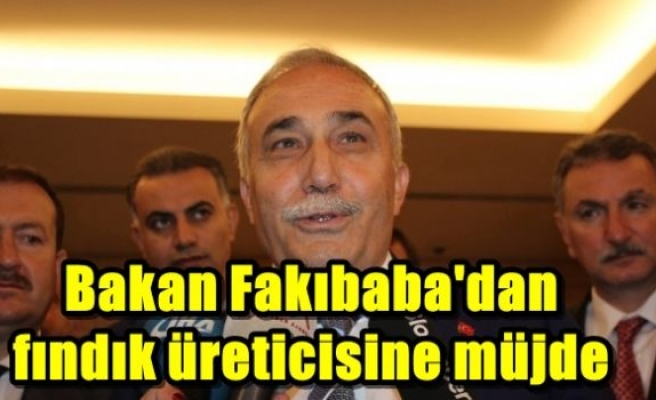 Bakan Fakıbaba'dan fındık üreticisine müjde