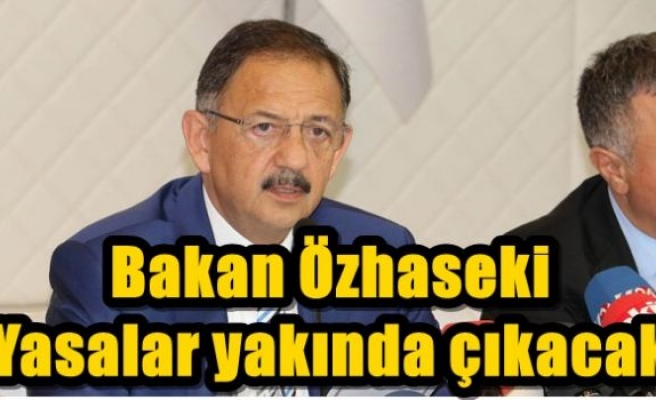 Bakan Özhaseki: 'Yasalar yakında çıkacak'