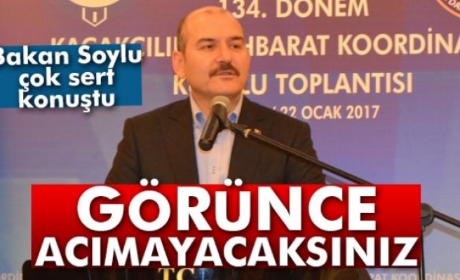 Bakan Soylu: 'Gördüğünüz anda acımayacaksınız'