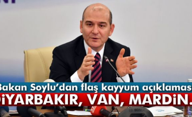 Bakan Soylu'dan flaş kayyum açıklaması