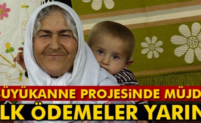 Bakanlıktan Büyükanne Maaşı Ve İstihdam Açıklaması