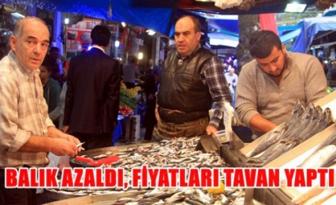 Balık azaldı,fiyatları tavan yaptı