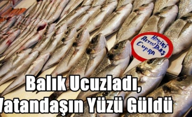 Balık Ucuzladı,Vatandaşın Yüzü Güldü