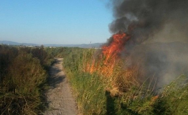 Balıkesir’de Sazlık Yangınına Havadan Müdahale Edildi