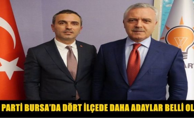 Başkan adayları belirlendi.