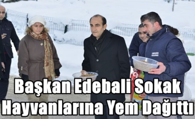 Başkan Edebali Sokak Hayvanlarına Yem Dağıttı