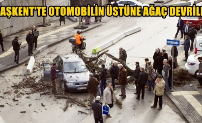 Başkent’te otomobilin üstüne ağaç devrildi!