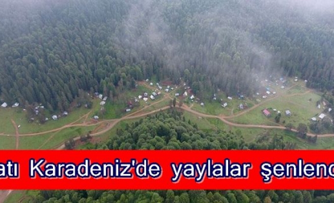 Batı Karadeniz'de yaylalar şenlendi