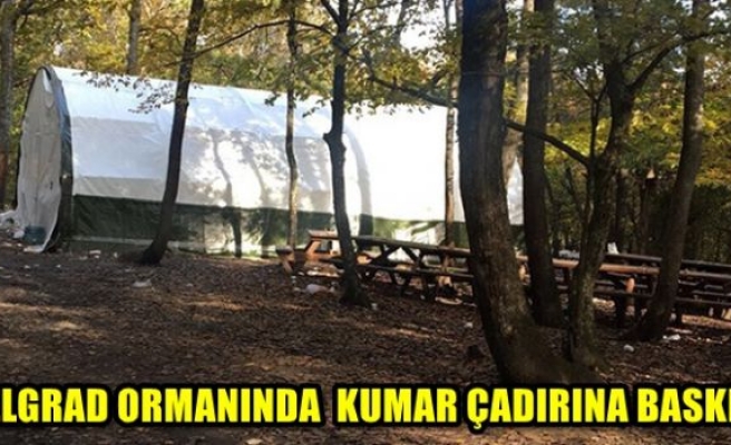 Belgrad Ormanında kumar çadırına baskın