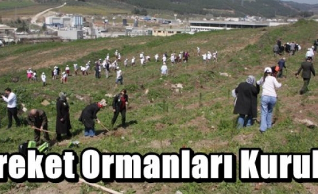 Bereket Ormanları Kuruldu