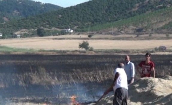 Bin Dönümlük Buğday Tarlası Kül Oldu