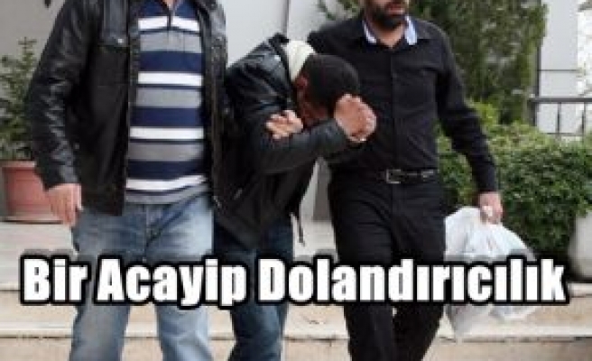 Bir Acayip Dolandırıcılık